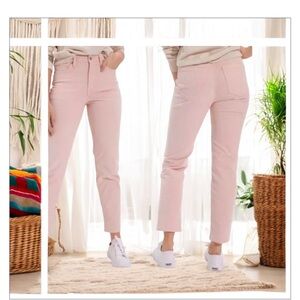 American Eagle Lilac-90’s -Mom -Corduroy Jean- Sz 2-NWOT-Super Stretch